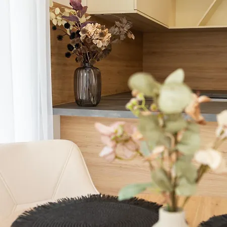 Bovi Lux Nyíregyháza